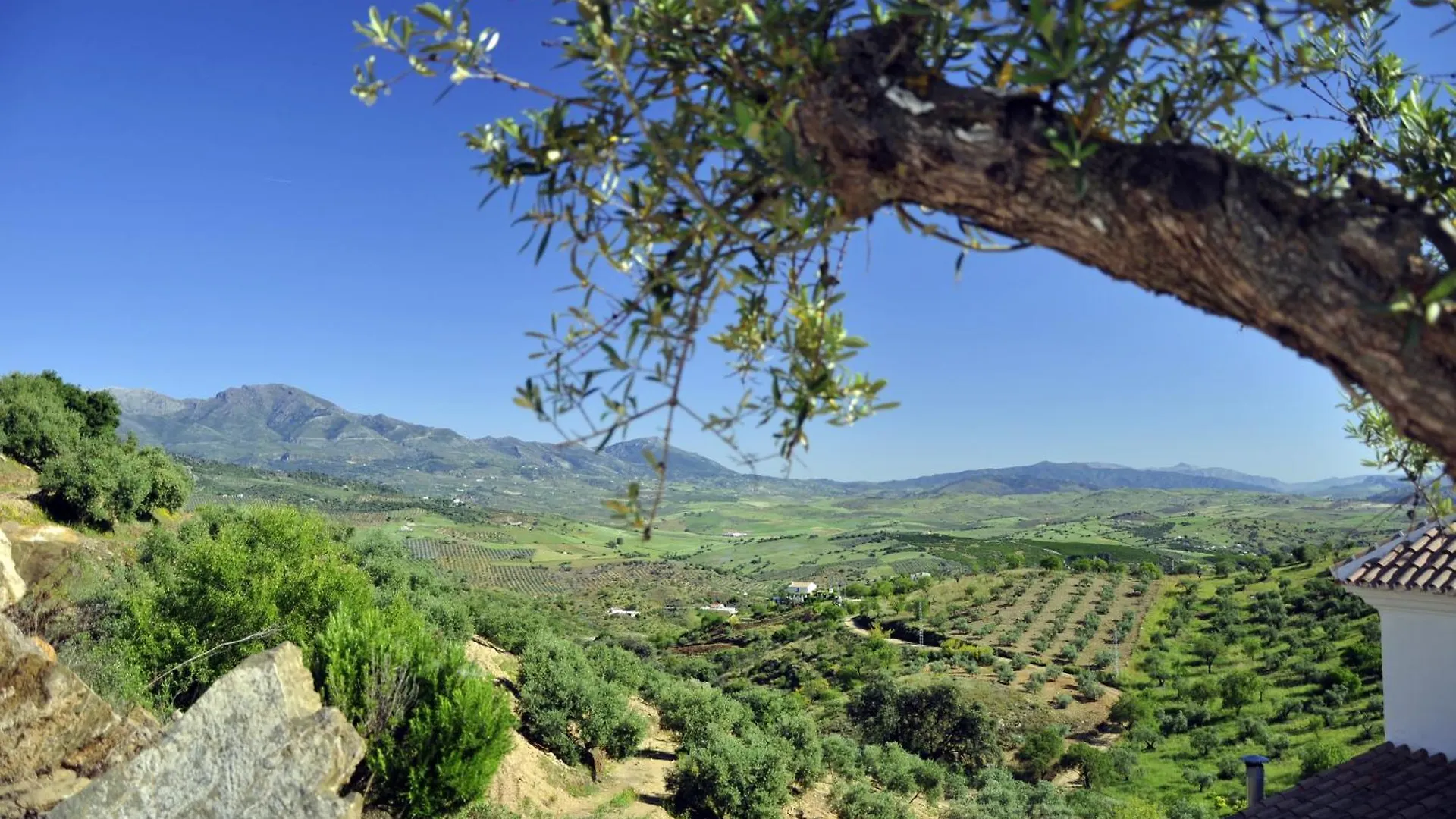 Apartment B&B Hacienda Guaro Viejo Spain
