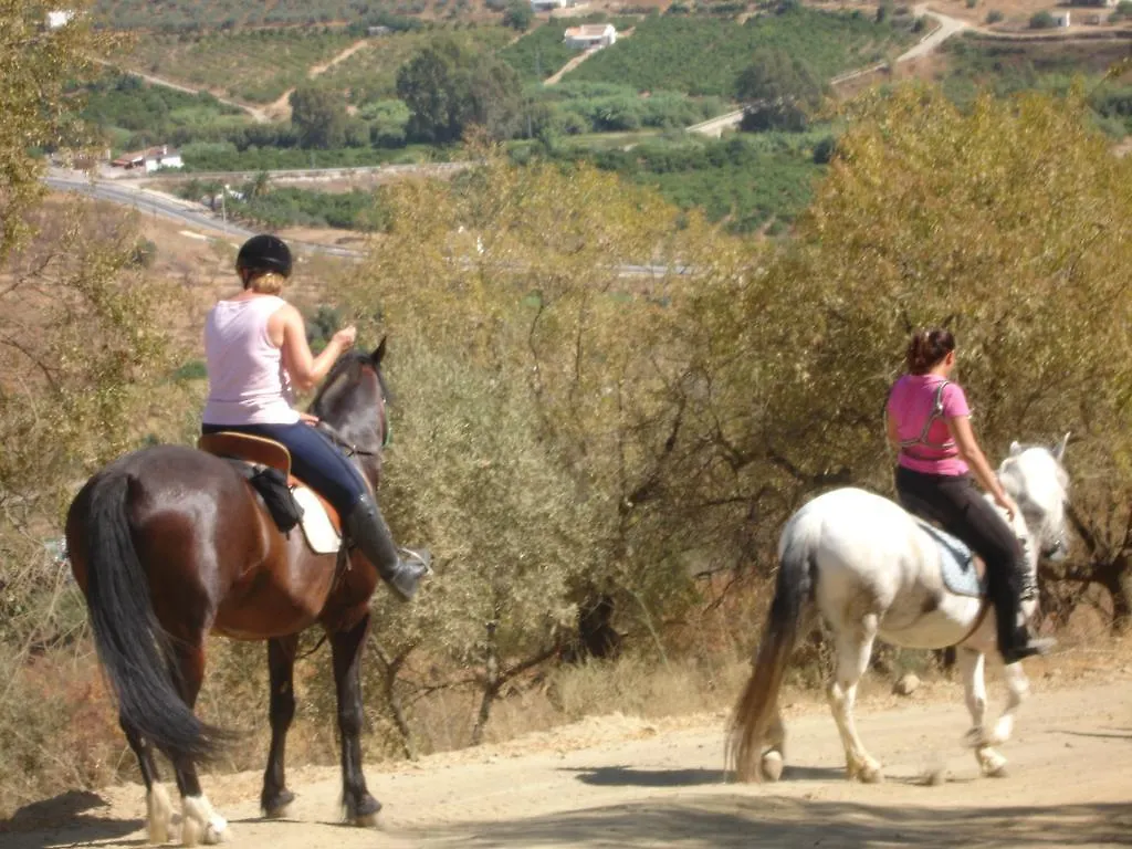 Apartment B&B Hacienda Guaro Viejo Spain